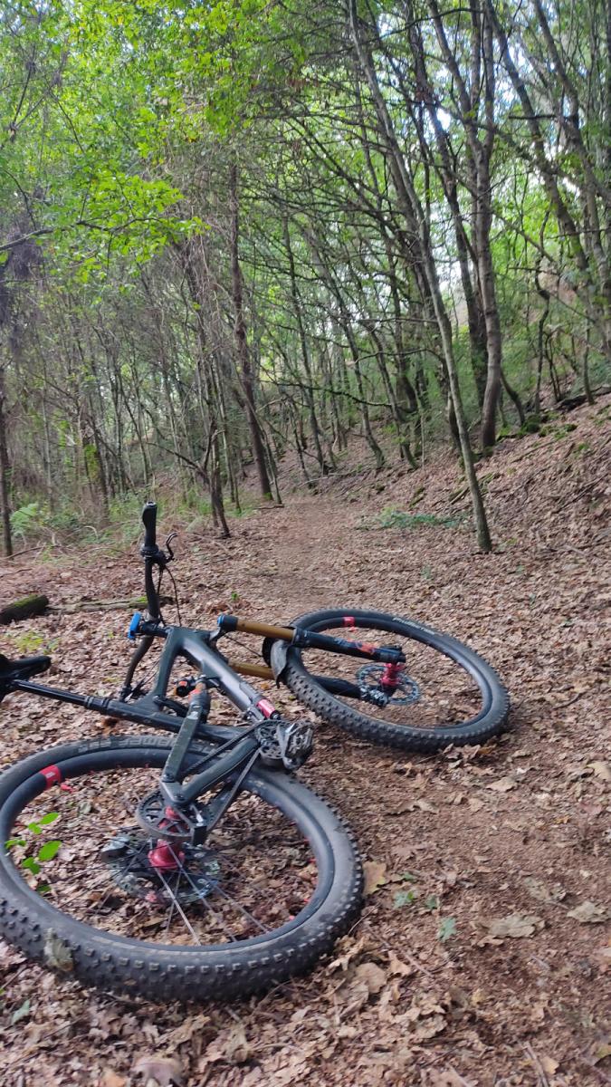 Trilhos do Paraiso 30