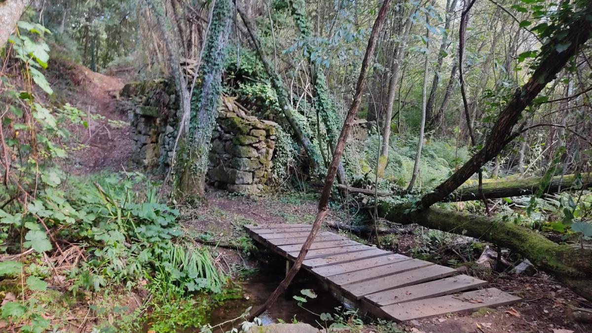 Trilhos do Paraiso 31