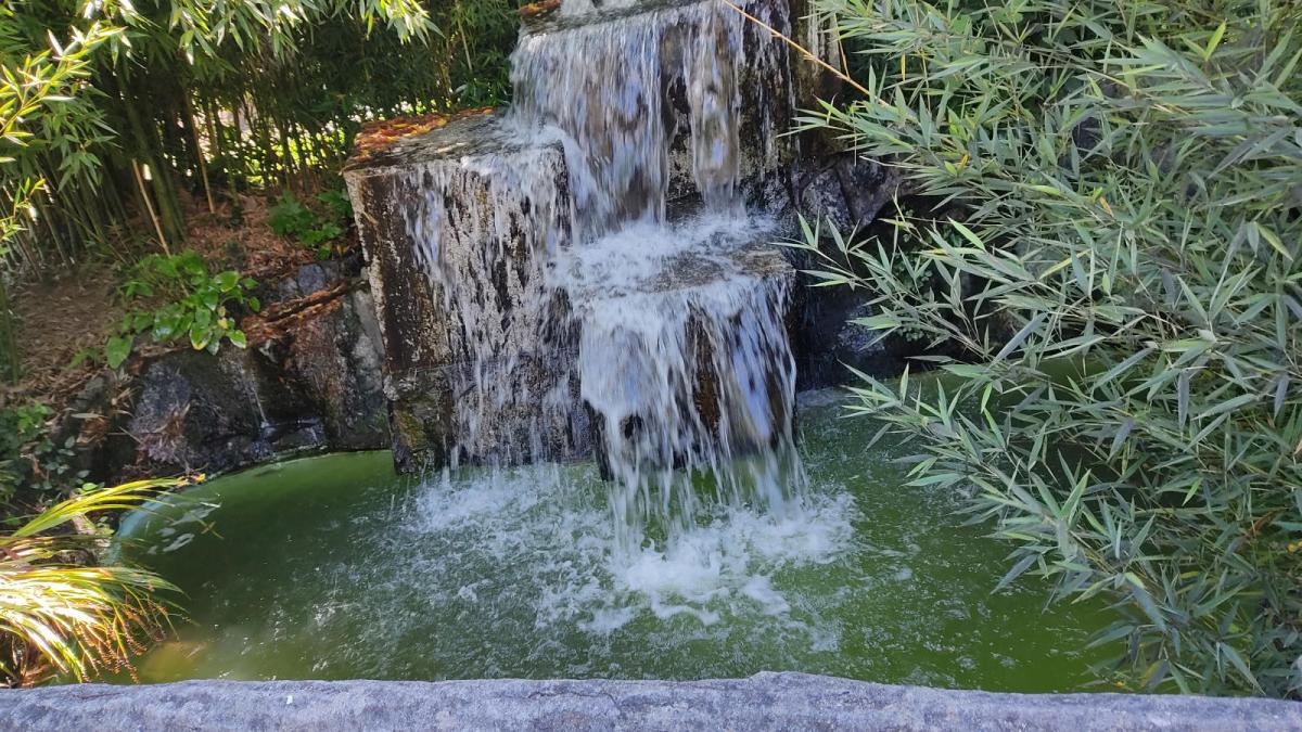 Trilhos do Paraiso 37